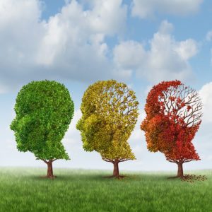 Homecare in Dearborn Heights MI: Cope with Memory Loss