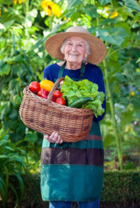 Elder Care in Novi, MI: Gardening for Seniors